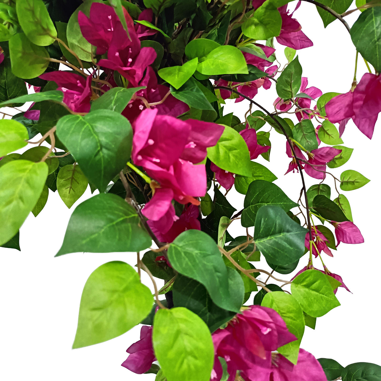 สีธรรมชาติ