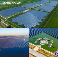 Panneau solaire Tongwei TW Solar TWMNH-66HD TNC 2.0 635W 640W 645W 650W 655W Monocristallin N-type 132 demi-cellules Bifacial