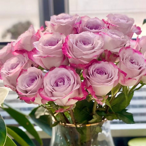 Rose all'ingrosso direttamente dal Yunnan: Fiori tagliati per bouquet, composizioni nuziali, esposizioni per saloni, arte floreale - Occasioni: San Valentino - Product Image 3