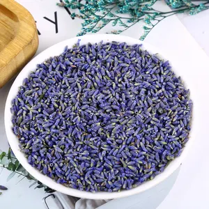 ดอกลาเวนเดอร์แห้งสมุนไพรออร์แกนิค TE de Lavanda