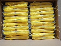Crochet en acier de culture de serre végétale agricole à utilisation répétée Support suspendu de tige de tomate galvanisé à chaud Crochet M avec ficelle de 10m