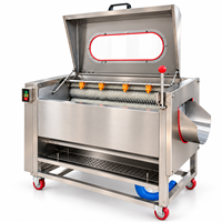 Machine de nettoyage à rouleaux pour légumes, pour l'élimination de la boue, le lavage et le pelage