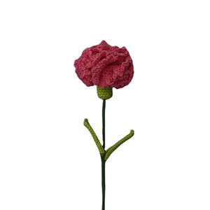 Le nouveau bouquet fait main au crochet avec des œillets tissés en dentelle est une fleur artificielle pour la fête des mères. - Product Image 5