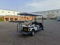 Kit de levage pour voiturette de golf 4 places 48V, kits de levage et de pneus pour voiturettes de golf, voiturettes de golf surélevées personnalisées, voiturette de golf pour sites touristiques