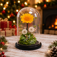 Pissenlit et tournesol stabilisés sous cloche en verre, fleurs éternelles faites à la main pour la fête des Mères et la Saint-Valentin