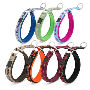 IC Sample Discount Polyester Led Dogs Dog Collar Leash Manufacturers