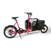 Mini vélo cargo électrique hybride pédale Ebike pour vélo utilitaire de livraison de nourriture E-Cargo pliable