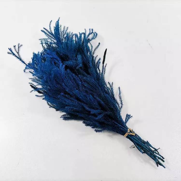 Bleu foncé