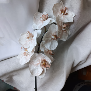 O-X766 Orquídeas Phalaenopsis de Alta Calidad, Flores de Orquídea de Tacto Real, Plantas de Orquídeas <span class=keywords><strong>Dendrobium</strong></span> para Decoración de Bodas y Mesas del Hogar - Product Image 5
