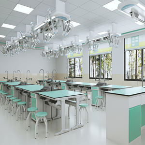 Mesa de Trabajo Moderna para Laboratorio Escolar de PP Comercial con Fregaderos Químicos y Biológicos - Product Image 4