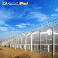 Serre agricole polyvalente Venlo multi-travées en polycarbonate avec grande couverture en plaques PC pour culture hydroponique