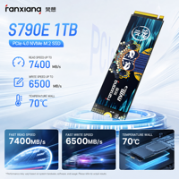 Grosir FANXIANG S790E 1TB M.2 NVMe PCIe 4.0 SSD 7100/6100MB/s Garansi 5 Tahun Pesanan Massal Untuk Reseller Sistem Builder Stok