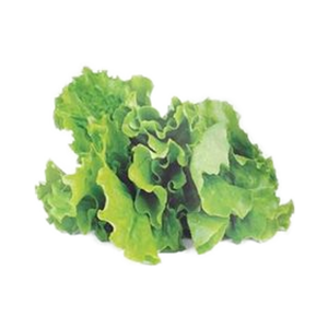 <span class=keywords><strong>Click</strong></span> <span class=keywords><strong>and</strong></span> <span class=keywords><strong>Grow</strong></span> Paquete de 3 vainas de plantas de bambú Smart Garden Fresh Greens Easy Home Grown Lechuga Zero Effort Macetas y jardineras - Product Image 6