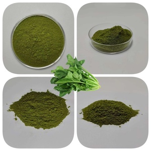 冷凍乾燥ナチュラルグリーン脱水ほうれん草パウダー - Product Image 2