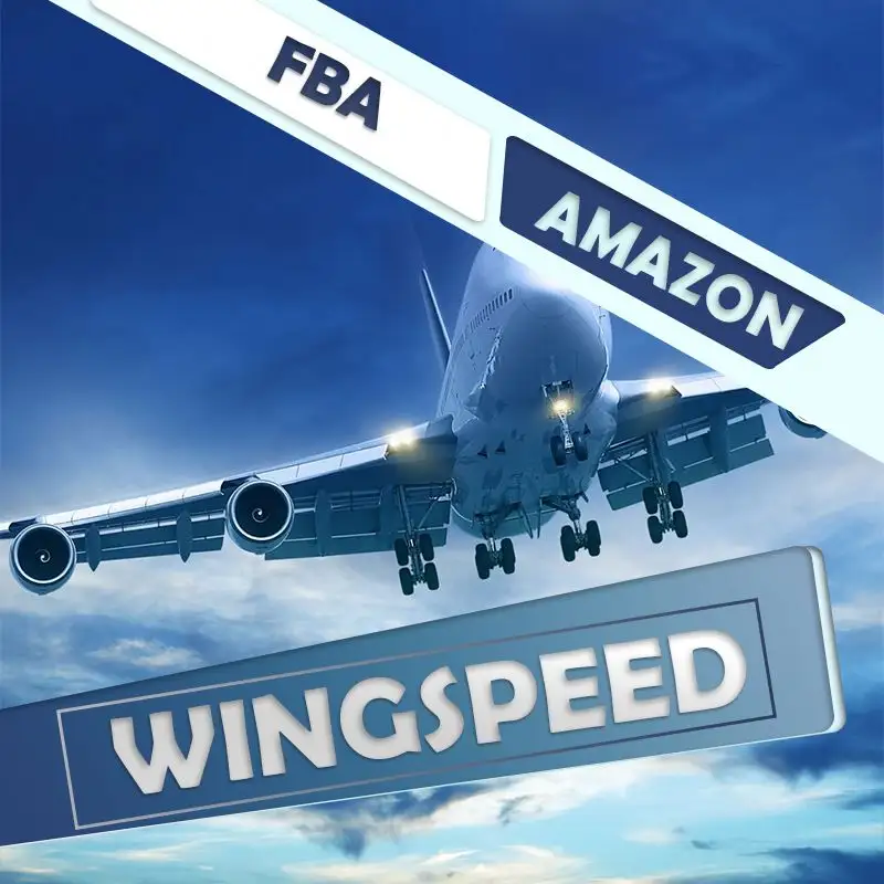 Pengiriman Udara Profesional/Termurah/Amazon/FBA/DHL/UPS/FEDEX/TNT Freight Forwarder dari Tiongkok