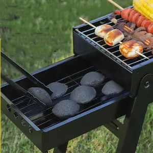 Firemax New Arrival Portable Outdoor Use Smokeless Coal Bamboo Pillow BBQ Charcoal Briquettes For Bbq