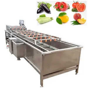 Commercial Washing Vegetable Bubble Cleaning Machine