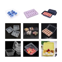 Volledig Automatische 3-Stations Vlees Snacks Ei PS/PLA/PET/PP/PVC Schalen Vormende Thermoformmachine Hoge Productiviteit