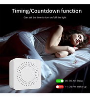 Zigbee Mini Smart Wifi Switch Sans Fil DIY Interrupteurs de Lumière 16A Smart Home Control Fonctionne avec Ewelink SmartThings Alexa