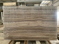 Travertin moderne de luxe avec des trous naturels et des rayures de grain de bois - Travertin argenté avec des veines de bois pour un design contemporain
