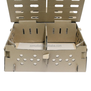 <span class=keywords><strong>Cage</strong></span> de transport pour poussins d'un jour, équipement agricole, carton de transport divisé, <span class=keywords><strong>cage</strong></span> de transport pour poussins - Product Image 4