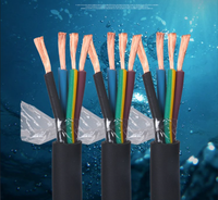 JHS Kupferleiter Tauchpumpenkabel Flexibles Gummimantellkabel für Industrielle Wasserversorgung Tiefbrunnen-Nutzung 450/750V 10A 2*2,5mm