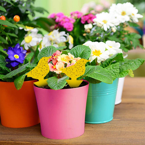 12 cái rắn dùng một lần treo Plug-in côn trùng Fly Trap cho trong nhà và ngoài trời Orchard vườn trang trại sử dụng - Product Image 2