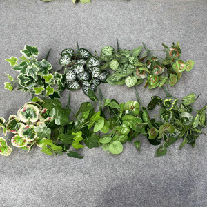 Feiyu Craft <b>Flower</b> Factory Artificial Plant 7-Forked Sweet Potato Begonia Greenery For Indoor <b>Wall</b> Decoration - Product Image 1