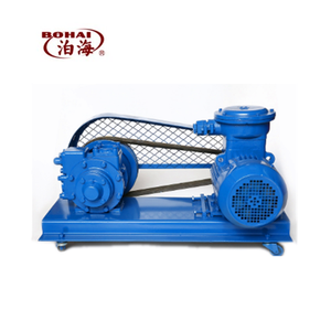 ปั๊มสุญญากาศ BOHAI YPB50 OEM 8 แรงม้า สำหรับอุตสาหกรรม ป้องกันการระเบิด กำลังไฟ 3 กิโลวัตต์ แรงดัน 0.4 เมกะปาสคาล - Product Image 1