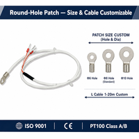 HUADONG Surface Mount Round Hole PT100 RTD Temperature Sensor, 3 Wire, Metal Mounting Tabs for Surface Temperature Measurement