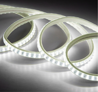 Bande lumineuse LED SMD5730 haute luminosité, étanche, 50 mètres, 100 mètres, 110V, 120V, 220V, flexible et intelligente