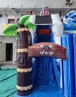 Toboggan aquatique gonflable commercial en PVC pour l'extérieur, châteaux gonflables, toboggan aquatique gonflable avec piscine