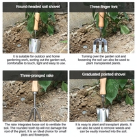 Truelle de jardin en acier inoxydable avec manche en bois et tête polie pour la plantation, le rempotage, le désherbage, la semence et l'utilisation dans les parterres de fleurs