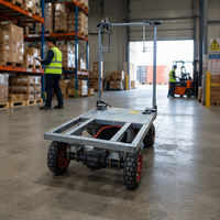 Chariot électrique à plateau plat personnalisable CE 500kg 800kg 1000kg, design pliable durable pour outils et courses, 3 roues / 4 roues