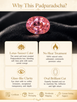 1,11 ct unbeheizter natürlicher Padparadscha-Saphir, Lotusrosa-Orange, oval geschliffener Ceylon-Edelstein
