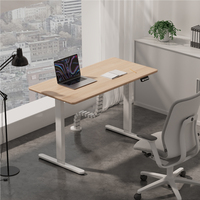 Bureau debout électrique à moteur unique, réglable en hauteur, de luxe, intelligent, pour le bureau, vente en gros