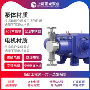 Pompe doseuse à piston Shanghai Sunshine Pump Industry DZ-D2 en acier inoxydable 316, électrique, 36 L/min, 100 m de hauteur de refoulement - Product Image 4