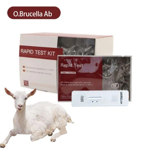 Kit per Test rapido Plasma sanguigno siero sangue anticorpo per ovini/caprini Brucella - Product Image 1