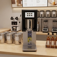 Bouilloire électrique portable, machine à thé instantanée avec fonction programmable en acier inoxydable 304, double tension (220V/110V)