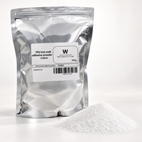 Poudre de transfert DTF pour l'impression personnalisée sur vêtements en coton et polyester