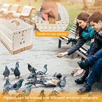 Cage de transport pliable pour oiseaux de compagnie, cage de transport pour pigeons, facile à nettoyer, en plastique, plusieurs tailles (S/M/L/XL) pour l'entraînement et la libération de 1 à 3 oiseaux