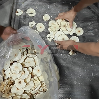 Máquina Secadora de Aire Caliente Multifuncional Profesional para Deshidratar Pimientos Verdes y Chiles