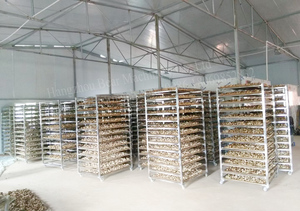 Máy Sấy Bơm Nhiệt Năng Lượng Thấp Máy Khử Nước Máy Sấy Thực Phẩm - Product Image 5