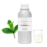Poivre Saveurs de menthe Saveurs d'huile de menthol Concentré de menthol pour la nourriture