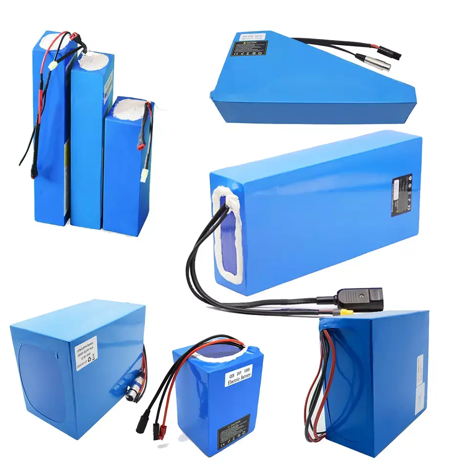 Customized electric scooter battery 24V 36V 48V 10Ah 20Ah 30Ah lithium ion batteries with BMS for electric bike