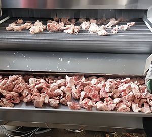 نفق مجمد سريع التجميد عالي الجودة لآلة تجهيز الأغذية الصغيرة Iqf ، - Product Image 5