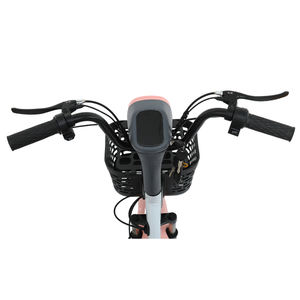 Vélo électrique à <span class=keywords><strong>prix</strong></span> bas, vente chaude internationale - Deux places, moteur sans balais, pour la revente - Product Image 4