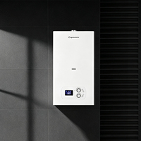 Chaudière murale combinée à gaz pour chauffage par le sol 20KW, échangeur de chaleur à plaques mural, eau chaude double usage, fournisseur chinois OEM