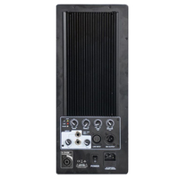Módulo de Placa Amplificadora de Potencia Accuracy Pro Audio APB 450W para Altavoz de 15 Pulgadas, Salida de 4 Núcleos, Bi-amp Clase H, con Bluetooth