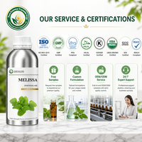 Huile Essentielle de Mélisse (Melissa Officinalis) pour Ambiance et Pureté à Domicile, Idéale pour Diffuseurs à Bâtonnets et Formulations de Bougies Parfumées